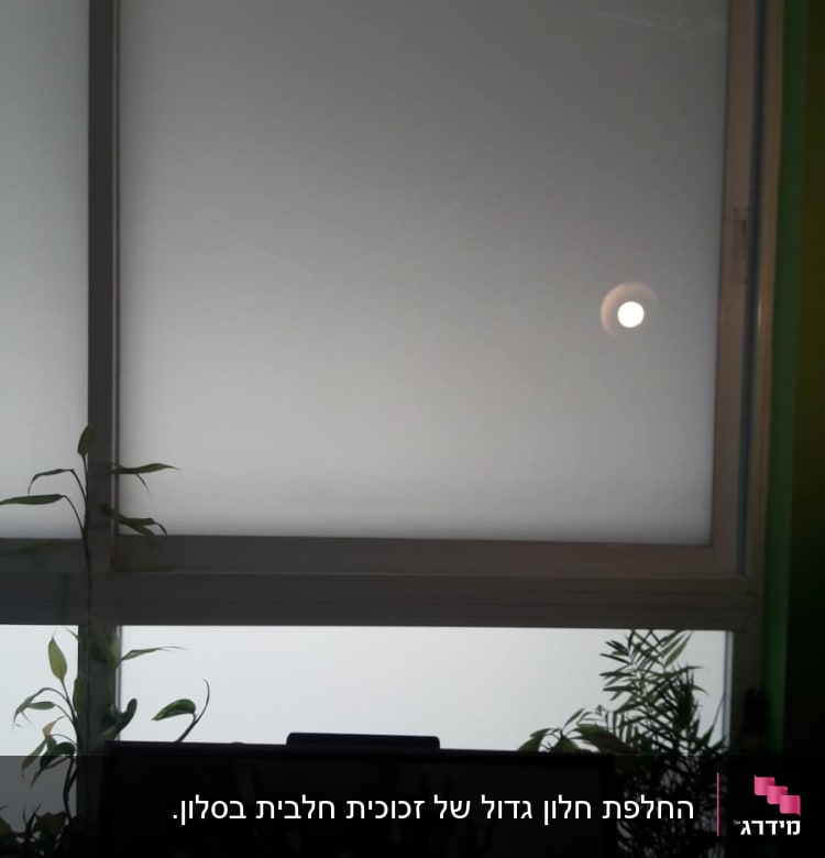 חלון זכוכית עם ציפוי מט, צללים של צמחים